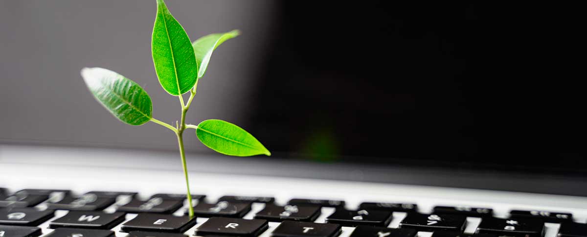 Reporte De Sostenibilidad