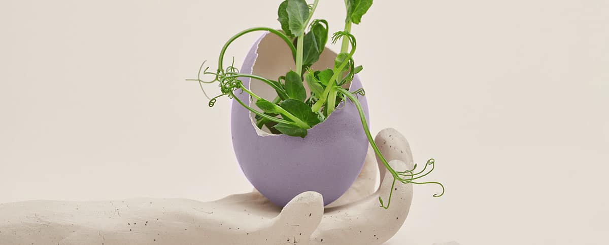 Producción Más Limpia