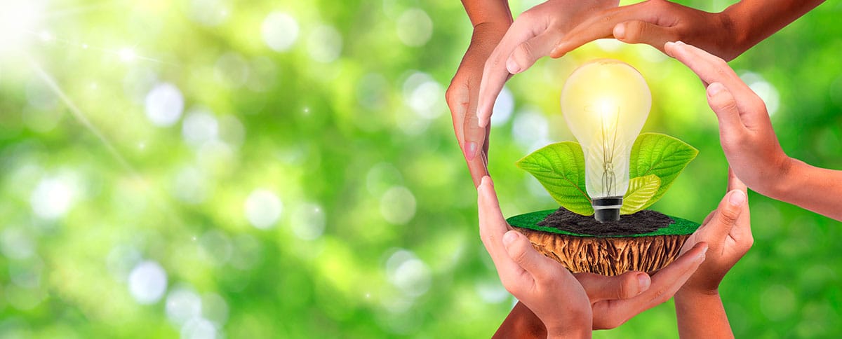 ¿Cómo Medir El Progreso De Su Estrategia De Sostenibilidad? Indicadores De Sostenibilidad