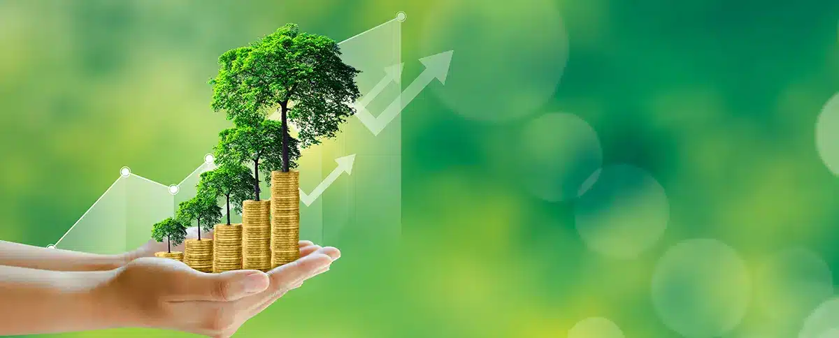 Auditoría De Sostenibilidad