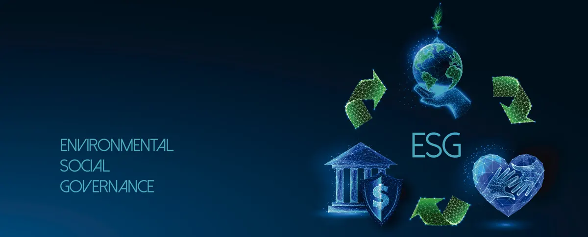 Implementar una estrategia de sostenibilidad paso a paso