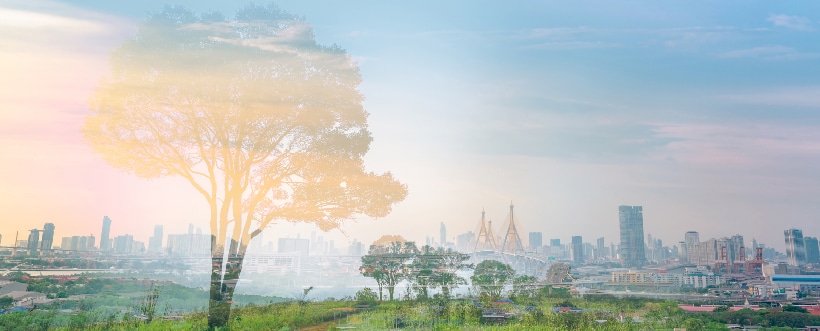 Objetivos de desarrollo sostenible