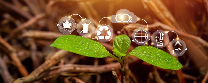 Información no financiera