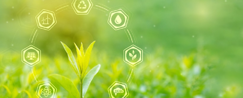 Sostenibilidad en la Reputación Corporativa