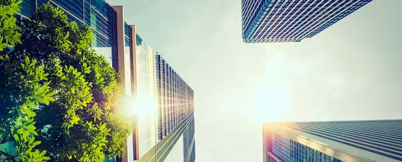 Sostenibilidad Corporativa