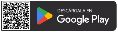 Play Google ESG